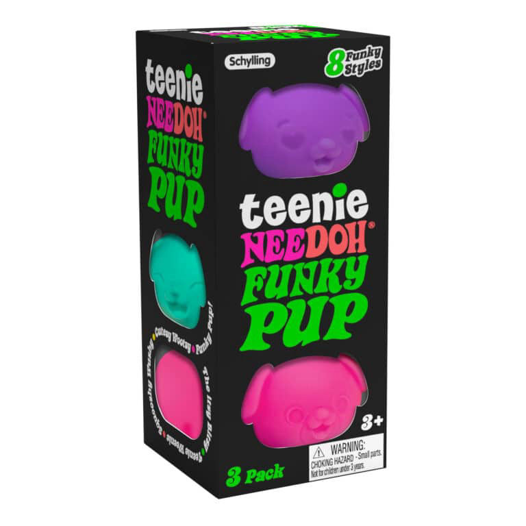 Teenie NeeDoh Cool Cats